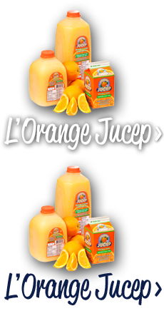 L'Orange Jucep